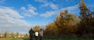 2013-butte-pinson-joggers-sur-ruban-vert-a-mi-parcours