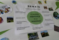 bois des forts - la Transfo