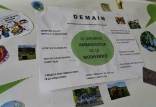 bois des forts - la Transfo