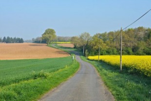 380-JLPC-CC-BY-3.0-via-Wikipedia-Champniers-86-Route-de-campagne-pres-Erveu-2014