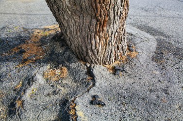 AdobeStock_196193315 Crédit Friedberg