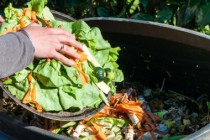 Composting the Kitchen Waste