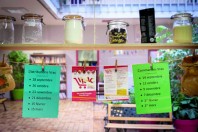 vrac-distribution-ESS