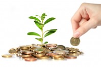 argent-plante-pouss-une