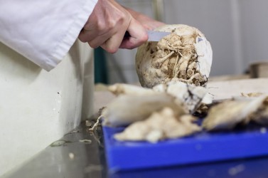 Une seule collectivité, même à 10 000 repas par jour, ne peut pas faire fonctionner seule une légumerie, il est nécessaire de trouver d’autres clients, publics ou privés.