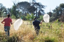 Photo1 - Les jardins à pap font l’objet d’une évaluation par comptage réalisé par des étudiants © sguillermain-Ville Marseille