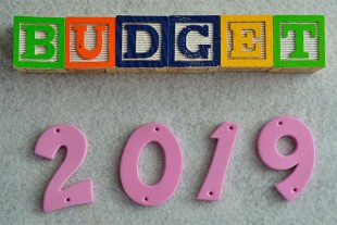 PLF-budget-2019