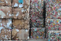 Recyclage_dechets_zerodechets_economiecirculaire_AdobeStock_94482592