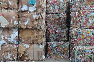 Recyclage_dechets_zerodechets_economiecirculaire_AdobeStock_94482592