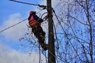 cable_reseau_reparation_telecomAdobeStock_228822170