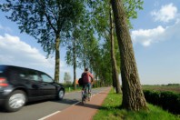 iStock_000018743779Medium© VLIET - ISTOCK