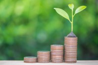 Plant growing up on the growing coin stack with nature backgroun