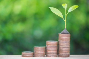 Plant growing up on the growing coin stack with nature backgroun