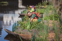 Jardins_Rennes_Biodiversité_J_MIGNOT_55