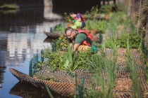 Jardins_Rennes_Biodiversité_J_MIGNOT_55