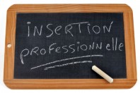 insertion-professionnelle