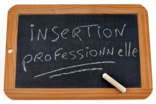 insertion-professionnelle