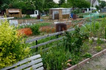 Jardins_familiaux_Wattrelos_J4