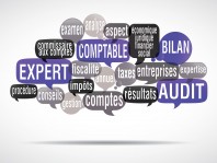 nuage de mots bulles : expert comptable