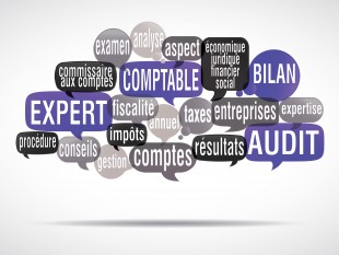 nuage de mots bulles : expert comptable