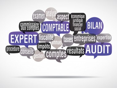 nuage de mots bulles : expert comptable