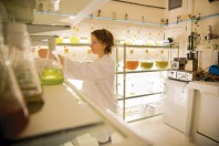 Le pôle mer Bretagne Atlantique mène notamment des expérimentations pour transformer des algues à destination de l'agroalimentaire.