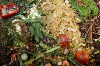 biodechets-restes-alimentaires-dechets-ecologie-tri