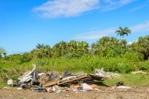 Illegal waste dump and tropical forest, la Reunion Island
