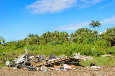Illegal waste dump and tropical forest, la Reunion Island