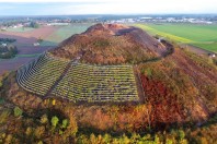 les vignes de Charbonnay (sic) de Oncle Bacchus