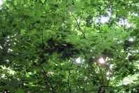 3663224271_ac37587c70_z