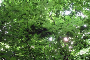 3663224271_ac37587c70_z