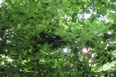 3663224271_ac37587c70_z