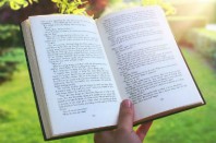 380 X 253 CoxFCF3WIAAIvB9 CC0 - UNE