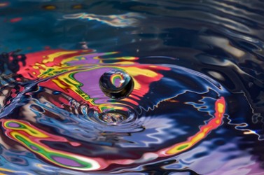 3803641352_589d4550e2_z