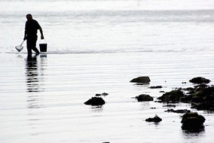 pêcheur à la plage