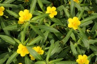 4919043851_727bb5b9bf_z