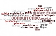 Délégation de service public