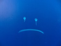 7002362123_de5fd62598_z