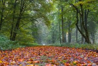 8112326619_2190c85fc2_z