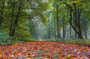 8112326619_2190c85fc2_z