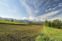 8728674752_64ccb1e68b_k