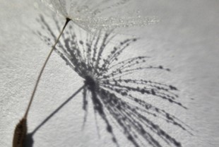 8910127959_91d19f98d7_h