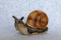 un escargot