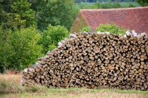 Stere de bois