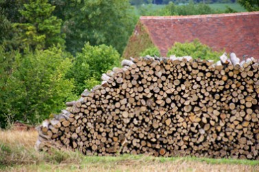Stere de bois