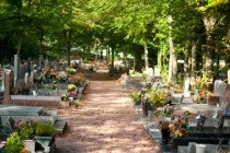 CIMETIERE DE BRETIGNY 19-®Thibault d'Argent 2012