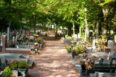 CIMETIERE DE BRETIGNY 19-®Thibault d'Argent 2012