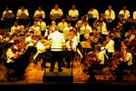 Culture Concert Musique