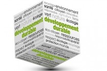Developpement Durable